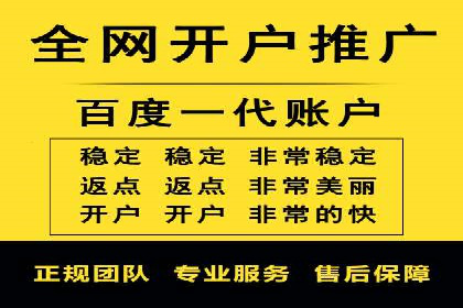 百度推广代理的投放策略及效果评估案例